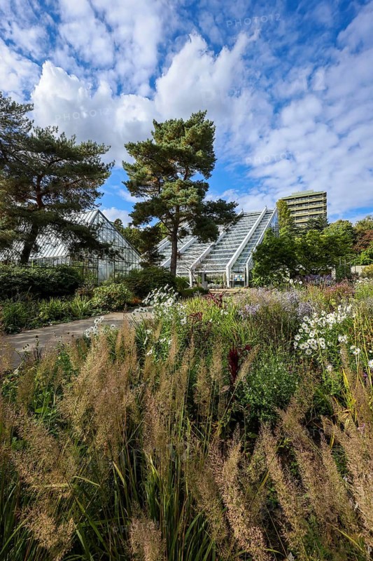 Bochum, North Rhine-Westphalia, Germany - Blooming flower-bed in the flower bed in front of the Tropical House, Botanical Garden of the Ruhr-University Bochum. University building in the background. As part of the Ruhr University Bochum, the botanical garden is primarily used for research and teaching, but also for education and public recreation