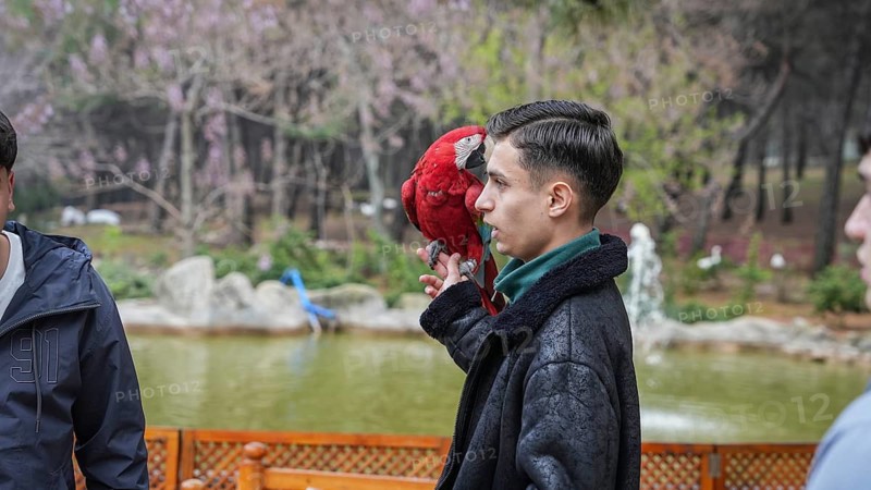 GAZIANTEP, TURKEY - APRIL 18, 2026: Visitors enjoy an early spring stroll at Gaziantep Wildlife Park. Ranked as the largest zoo in Turkey, the second largest in Europe, and fourth globally, the park is a major attraction home to 380 diverse animal species, Gaziantep, Turkey