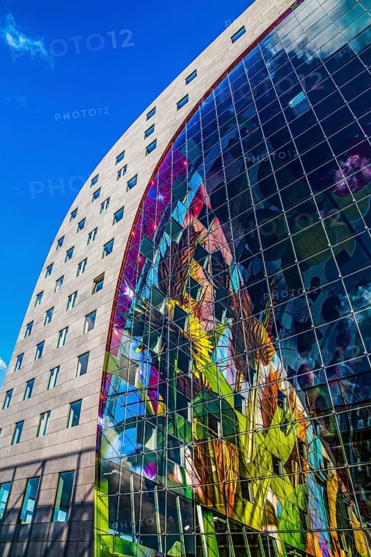 Markthal from 2014, offers over 100 food stalls and delicatessens with spectacular ceiling fresco cornucopia, Horn of Plenty by Arno Coenen and Iris Roskam, Rotterdam, the Netherlands