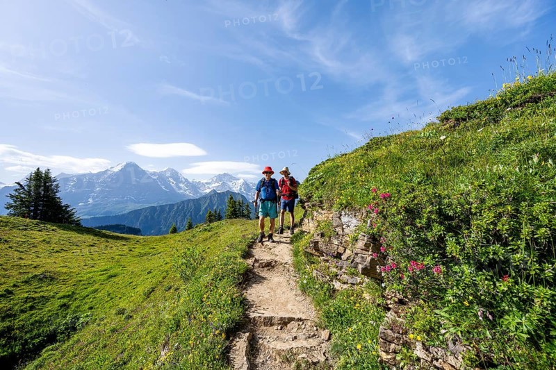 Hikers on a hiking trail on the Schynige Platte, picturesque mountain landscape, mountain panorama with peaks Eiger, Mönch and Jungfrau, Bernese Alps, Bernese Oberland, Switzerland