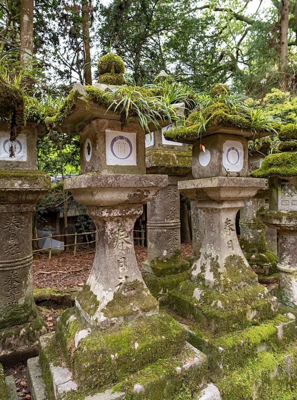 Kasuga-taisha shrine, Nara, Japan