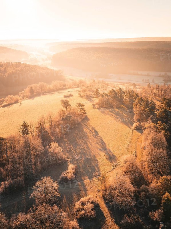 Hilly landscape at dawn with dense forests and long shadows, Gechingen district of Calw, Black Forest, Germany