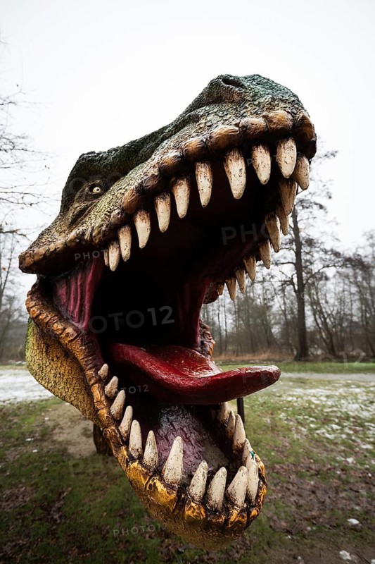 Dramatic wide-angle close-up of a Tyrannosaurus Rex (Tyrannosaurus rex) model's open mouth, focusing on the large teeth and pink tongue in a winter setting in LUBIN, POLAND