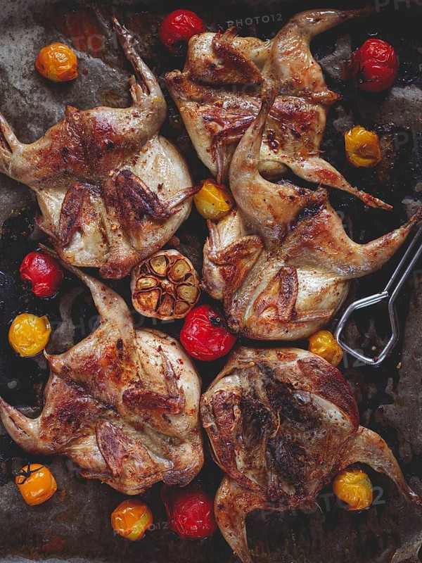 Grilled quail meat, on a platter, tobacco, in the oven, with spices, homemade, without people
