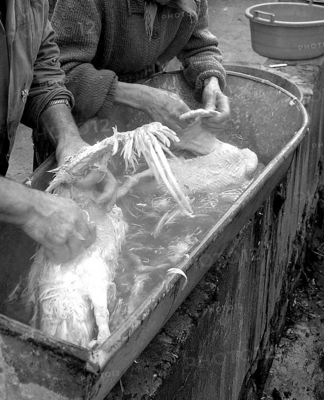Detail, farmers digging in a brewing kettle, black and white, Franconia, Bavaria, Germany