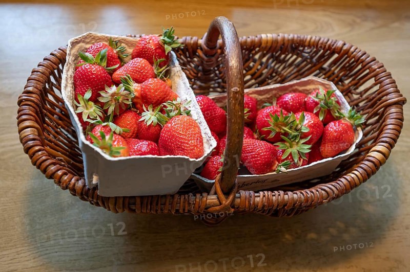 Fresh strawberries (Fragaria) in a basket, Bavaria, Germany