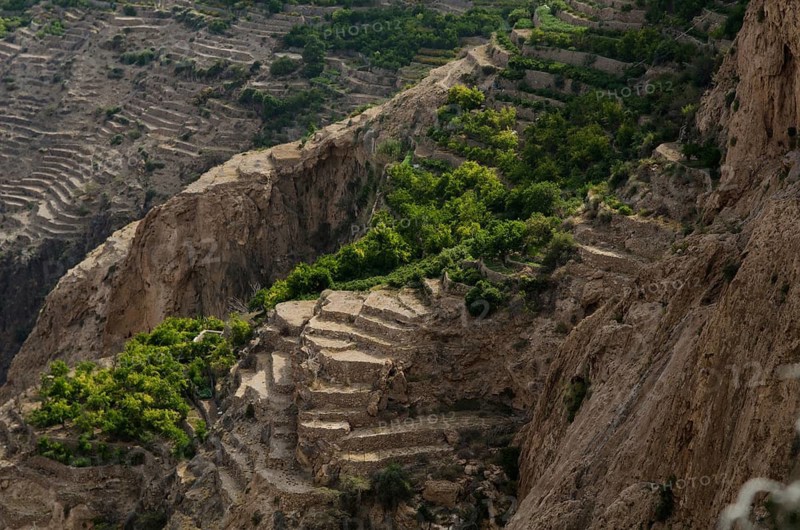 The green mountains called Jebel Akhdar of the Hajar mountain range, the harsh interior of Oman, home of traditional rose harvesting and fruit farming