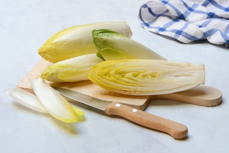 Chicory, chicory salad on plate with knife
