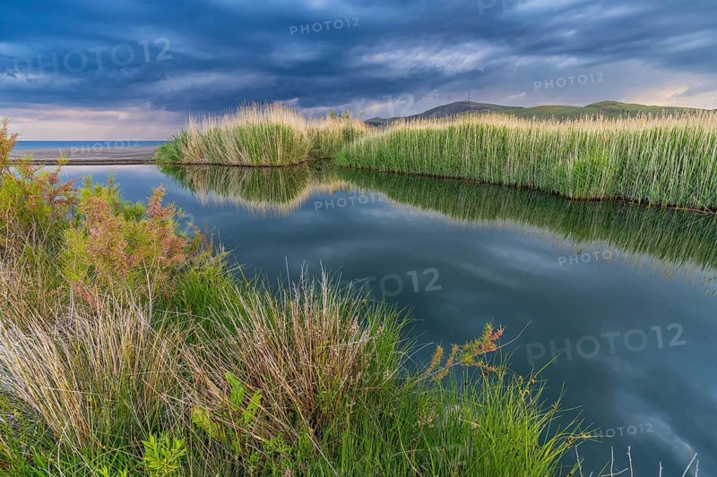 Landscape Greece, thunderstorm, thunderstorm atmosphere, reed, biotope, bird biotope, island Lesbos, Greece