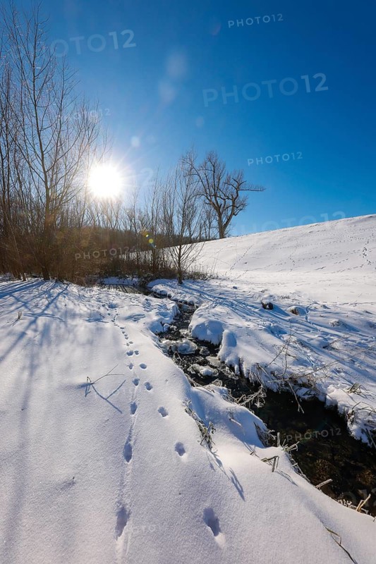 Bochum, North Rhine-Westphalia, Germany - Sunny winter landscape in the Ruhr area, ice and snow on the renaturalised Goldhammer Bach, the stream has been transformed into a near-natural watercourse, the Goldhammer Bach flows into the Emscher via the Hüller Bach, is part of the Emscher river system and thus part of the Emscher conversion, was previously an open, above-ground wastewater channel, mixed water channel with surface water and wastewater, animal tracks in the snow