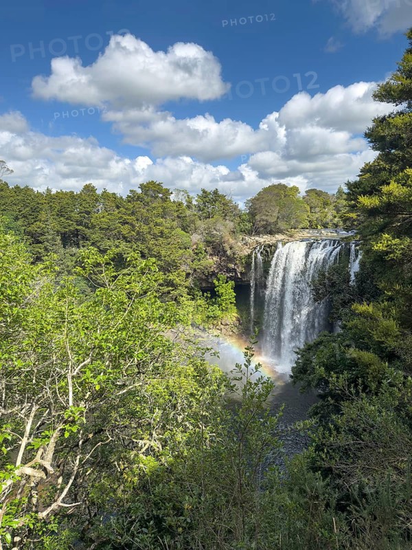 Rainbow Falls waterfall (Waianiwaniwa) amidst lush trees under a blue sky with clouds and a small rainbow in the water, Wipekakoura River, Kerikeri, North Island, New Zealand, Oceania