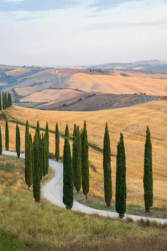 Typical Tuscan landscape in Crete Senesi with hills, trees, fields, cypresses and farm road in autumn, sunrise, Agriturismo Baccoleno, UNESCO World Heritage Site, Siena Province, Tuscany, Italy