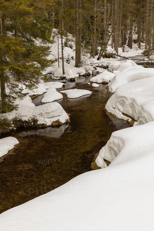 Lake Grosser Arbersee in late winter. The lake and the adjacent forest are snow covered. Germany, Bavaria, Bavarian Forest National Park
