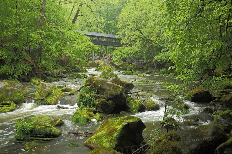 Wooden bridge over the Prüm with boulders and stones, Irrel waterfalls, nature photography, Irrel, Südeifel, Eifel, Rhineland-Palatinate, Germany