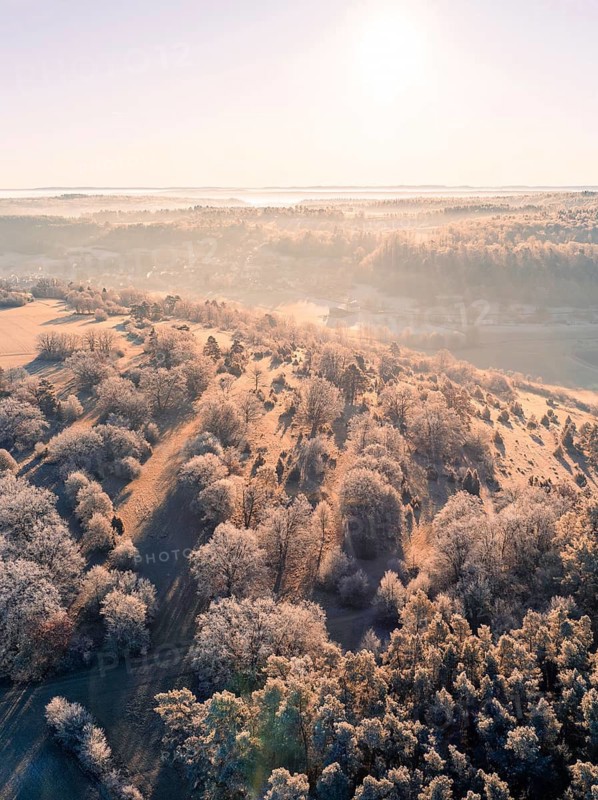Winter hills and trees in soft sunlight with a clear sky, Gechingen, Hecken und Gäu region, district of Calw, Black Forest. Germany