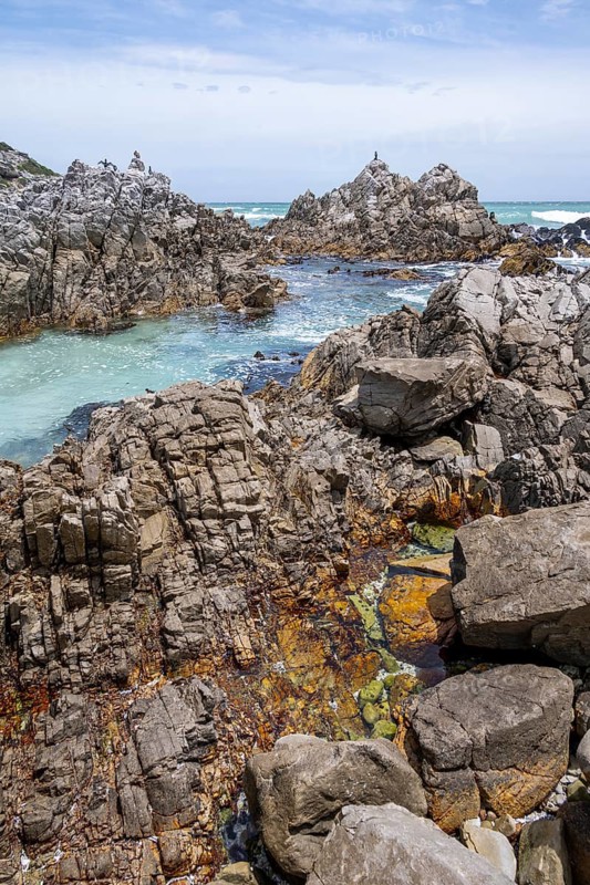 Rocky coast with tide pools, Walker Bay Nature Reserve, Western Cape, South Africa