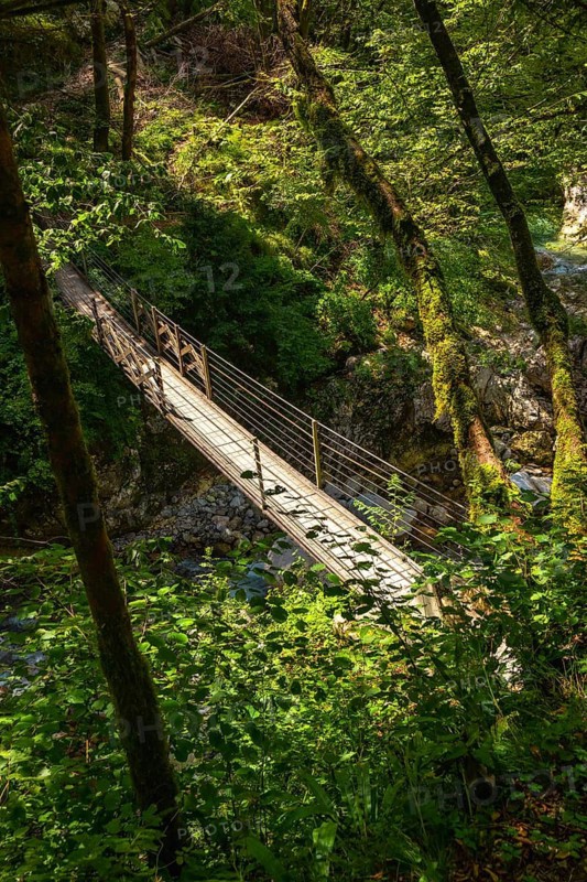 Scenic view of a wooden suspension bridge crossing the tolmin gorges in slovenia, surrounded by lush green forest