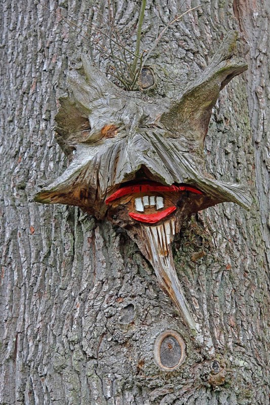 Tree figure, tree root with face, tree trunk with bark, fantasy, wood sculpture, wood carving, trail, premium hiking trail, Auenlandweg, Blickhausen, Mittelhof, Sieg, Knowledge, Westerwald, Rhineland-Palatinate, Germany