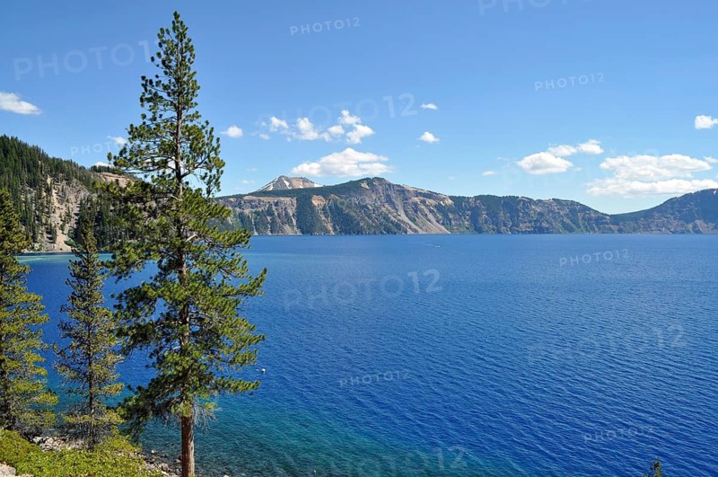Tranquil landscape with deep blue lake surrounded by green trees and mountainous backdrop under a clear sky, Crater Lake National Park, Oregon, USA