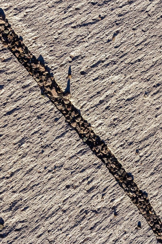 Close-up of cracked pumice stone textures at Campo de Piedra Pomez in Catamarca, Argentina, showcasing unique geological formations and natural patterns in earthy tones