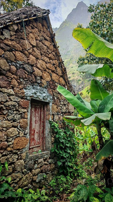 Volcanic stone house with red shutters next to banana plants (musa) in a mountainous environment, hiking from Cova Crater through the Paul Valley, Ribeira do Paul to Vila das Pombas, Santo Antao, Cabo Verde, Cape Verde, Cape Verde