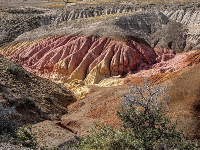 Colorful rock formation Tierra de Colores, Parque Patagonia Argentina, Park Patagonia Argentina, Argentina