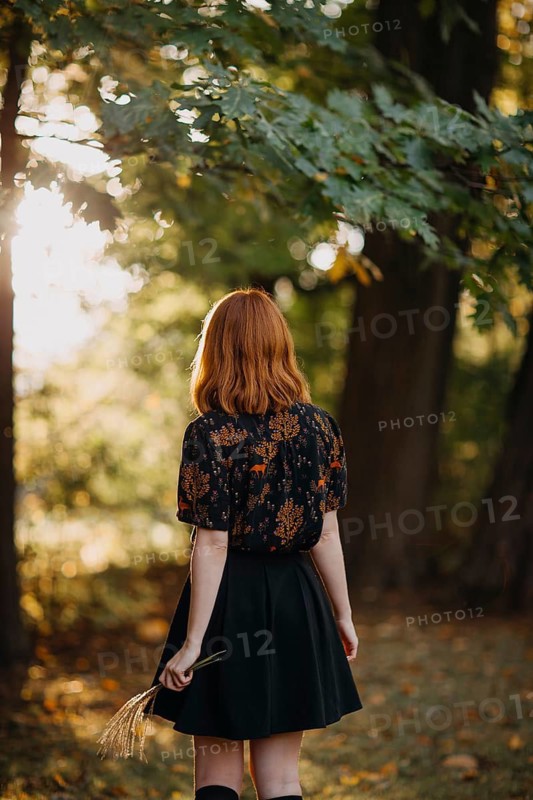 A woman strolls through a serene forest in Quebec during autumn. The leaves are a brilliant kaleidoscope of colors, beautifully backlit by the setting sun, creating a tranquil scene