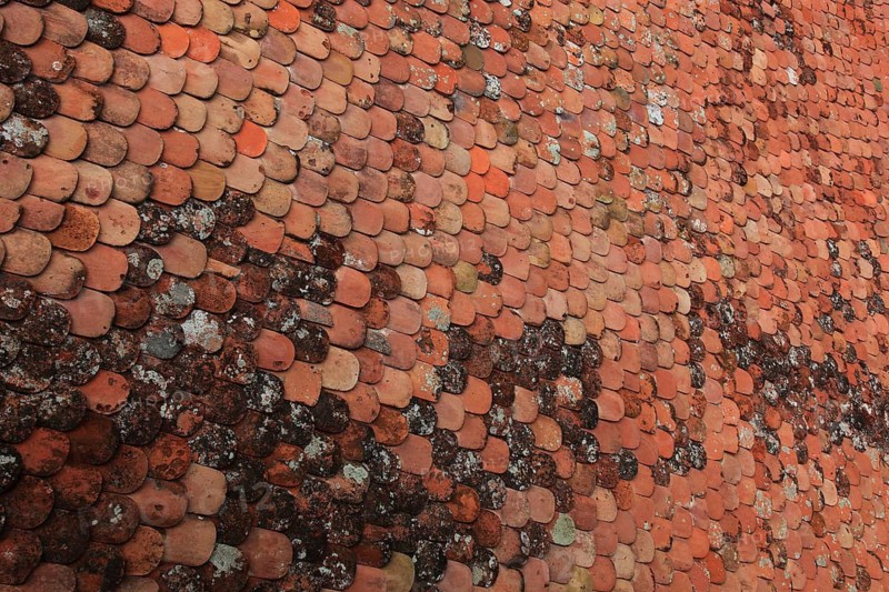 Old roof covering, beaver tail-shaped tiles, partly already weathered or with growth of lichens and mosses
