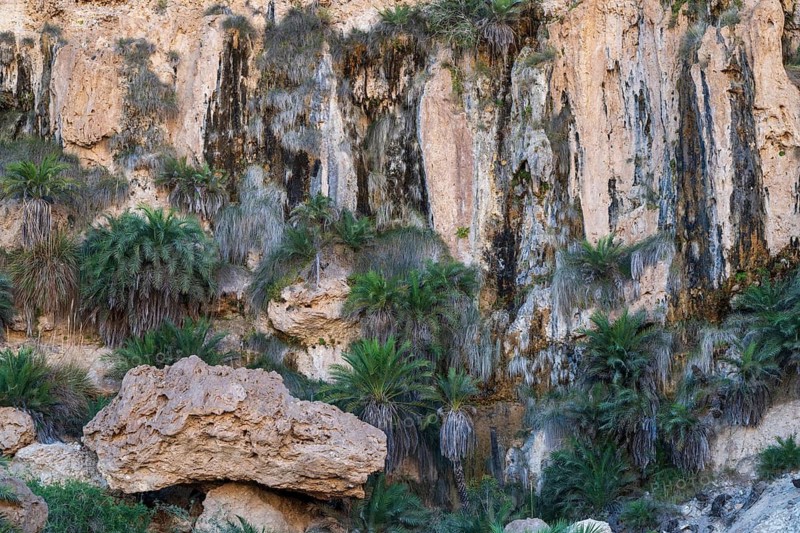Limestone gorge of Wadi Shuwaymiyah, Dhofar, Oman