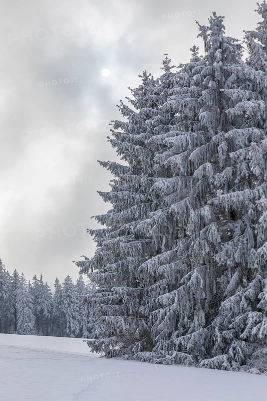 Snow-covered winter landscape decorated with hoarfrost near Eibenstock, Erzgebirge, Saxony, Germany