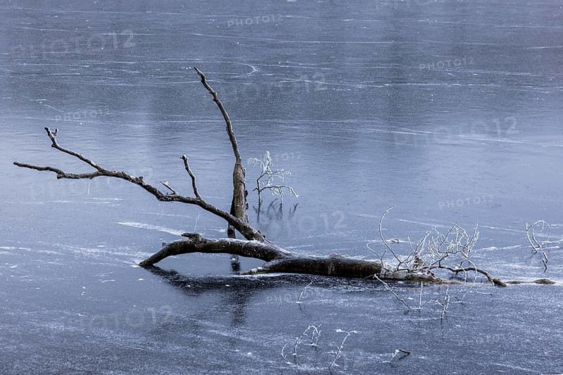 Frozen Schlachtensee, Zehlendorf, Berlin, Germany