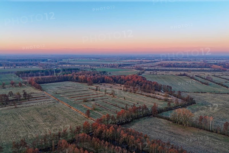 Landscape in the Drömling UNESCO Biosphere Reserve in the Altmark at dawn on a cold spring day. aerial view. Dannenfeld, Gardelegen, Saxony-Anhalt, Germany