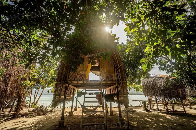 Traditional bamboo hut elevated on stilts, nestled among lush trees with a view of the serene beach in the Philippines, perfect for a peaceful vacation