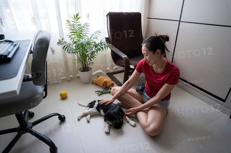 A young woman in a casual outfit trains her Cavalier King Charles Spaniel indoors. The cozy room environment includes a chair and houseplant, creating a warm and inviting setting