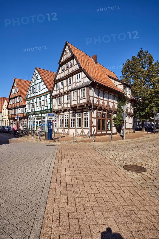 Historic half-timbered houses, trees, blue cloudless sky, crossing street Kleiner Plan with Am heiligen Kreuz, Celle, Lüneburger Heide, district of Celle, Lower Saxony, Germany