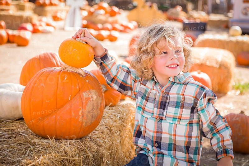 Little Boy Sitting and Holding His Pumpkin in a Rustic Ranch Setting at the Pumpkin Patch