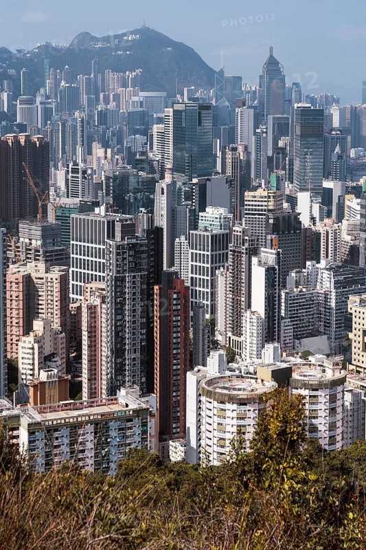 A stunning view of the densely packed Hong Kong skyline, captured from a hilltop. The image showcases the city's towering skyscrapers and vibrant architectural variety
