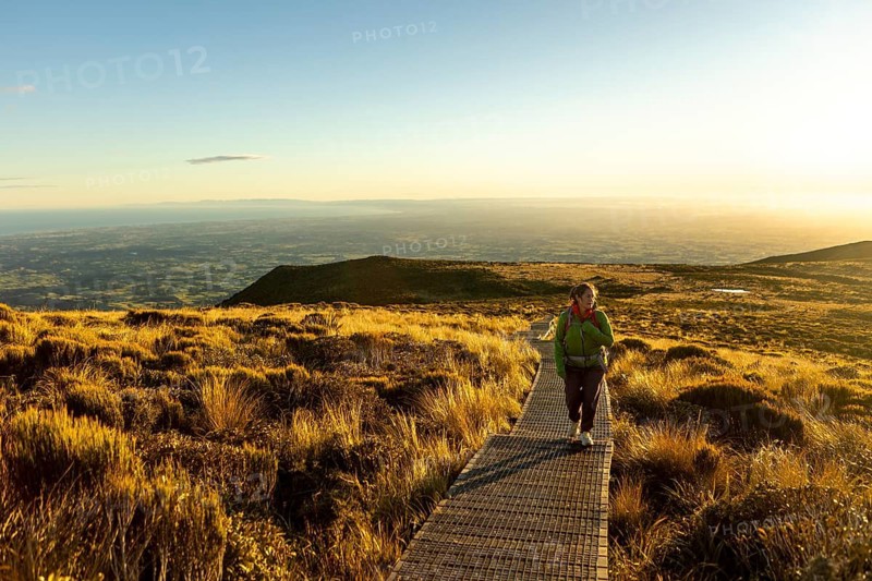A hiker enjoys a serene moment at sunrise on a boardwalk at Mount Taranaki in New Zealand. The golden light illuminates the lush landscape, highlighting the natural beauty of the area