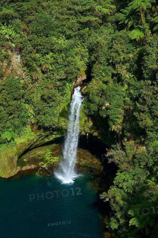 Landscape with a high waterfall leading into a forested river, Te Rere o Omanawa, Omanawa Falls, Tauranga, Bay of Plenty, North Island, New Zealand