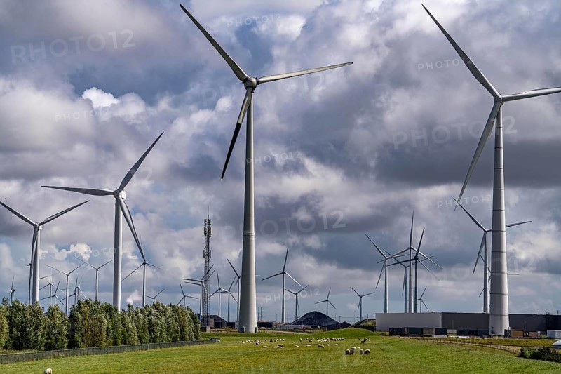 Wind farms Westereems and Growind, in the north of the Netherlands, near Eemshaven, energy centre, in addition to wind energy there are coal and gas-fired power plants and various energy infrastructure facilities, Netherlands