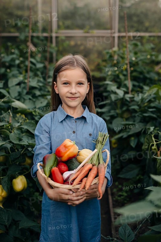 A young girl in a blue dress smiles while holding a basket of vibrant, fresh vegetables. She stands in a lush greenhouse, surrounded by green plants, embodying farm to table freshness