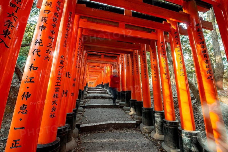 Visitors on a journey through hundreds of red traditional torii gates, Fushimi Inari-taisha, Shinto shrine, long exposure, motion blur, Fushimi Inari-taisha Okusha Hohaisho, Kyoto, Japan