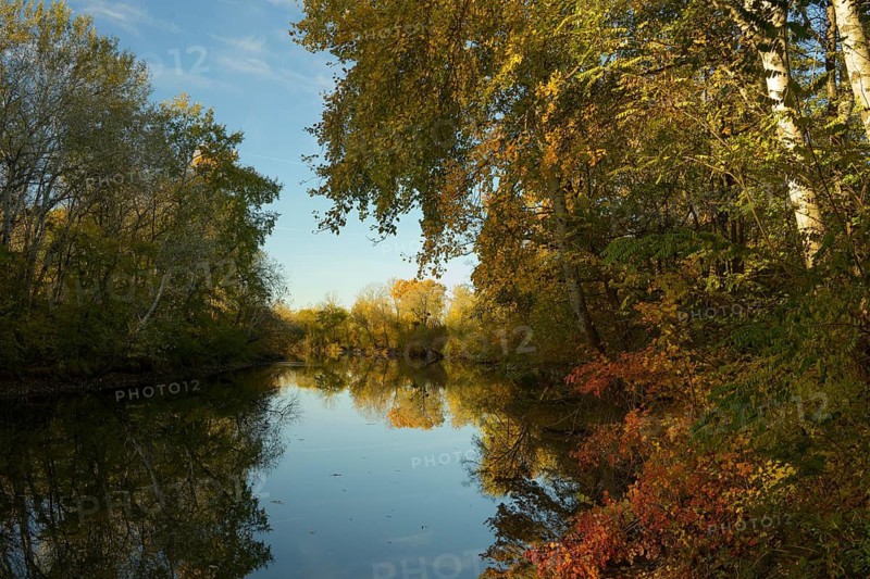 Autumn mood, riparian forest, water, Lower Austria