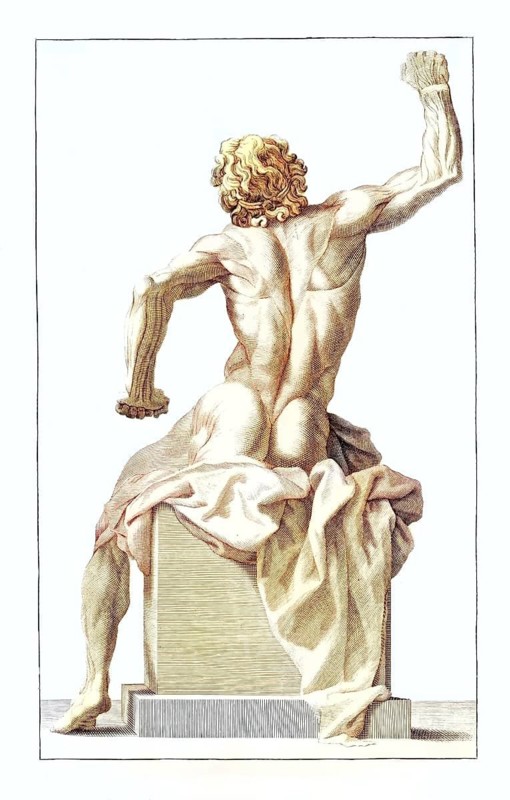 View from behind of the Laconic statue in the Vatican, naked, man, muscles being viewed anatomically, back view of a muscular man sitting on a pedestal