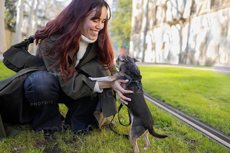 A joyful woman kneels on green grass, smiling affectionately at a small chihuahua that stands on its hind legs. It a sunny day, and they're surrounded by trees and nature