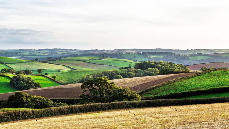 Colours of Devon Farms and Fields over Paignton and Berry Pomeroy, Totnes, England, United Kingdom