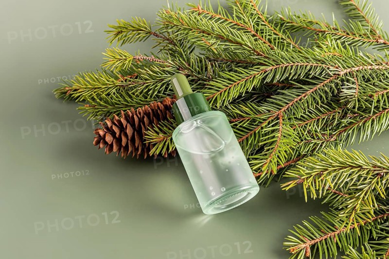 From above a clear bottle of essential oil surrounded by vibrant green coniferous branches and a solitary pine cone, set on a muted green background