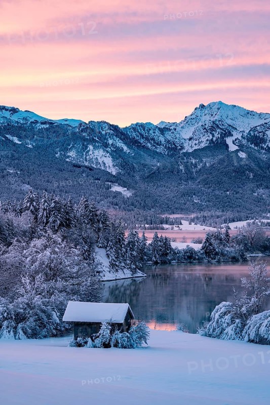 Dawn and sunrise at the wintry Forggensee in a snow-covered winter landscape in the foothills of the Alps in the Allgäu in Bavaria, Germany