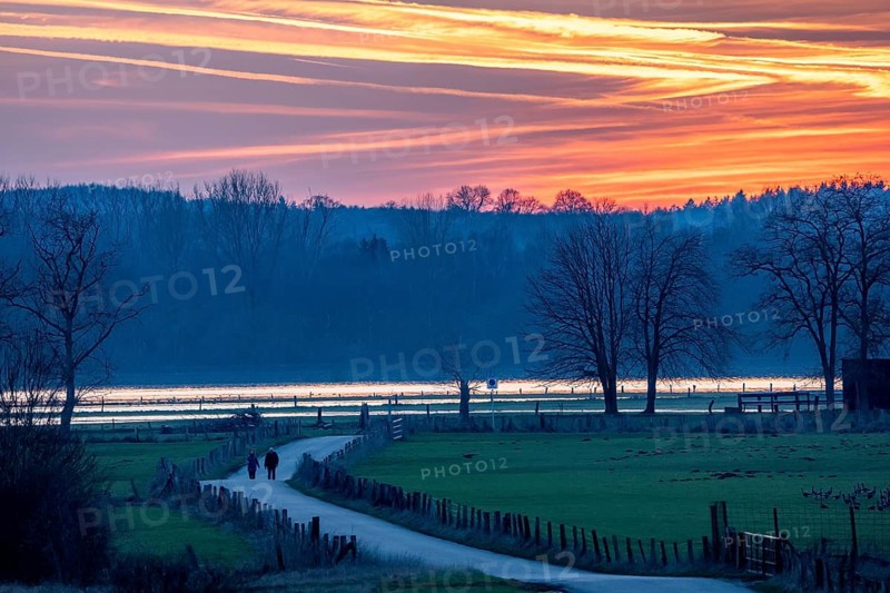 Bislicher Insel, in winter, floods in the floodplains due to Rhine flooding, nature reserve on the Rhine, sunset, Altrheinarm, near Xanten, Lower Rhine, Wesel district, one of the few floodplain landscapes in Germany, in winter over 20, 000 wild birds, many arctic geese species pause and hibernate here, North Rhine-Westphalia, Germany