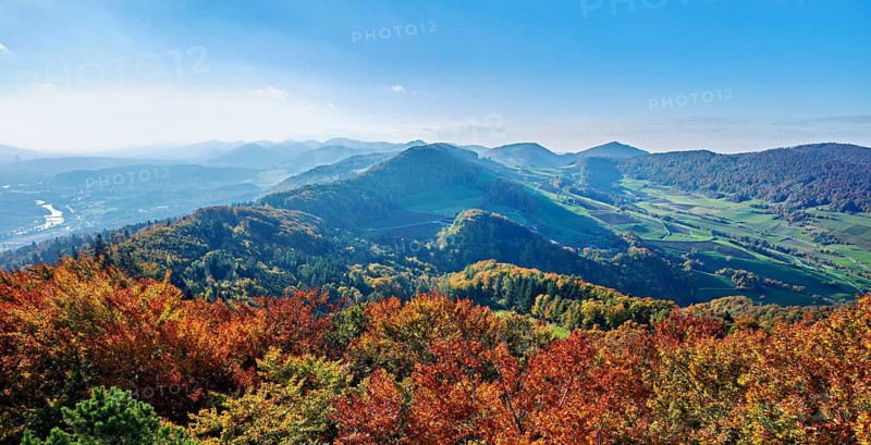 View of an autumnal forest from the Gisliflue, behind the Jura foothills with Wasserfluh and Strihen, Talheim, Canton, Aargau, Switzerland